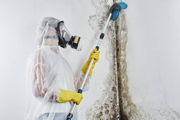 Best Crawl Space Mold Removal  in Deltana, AK