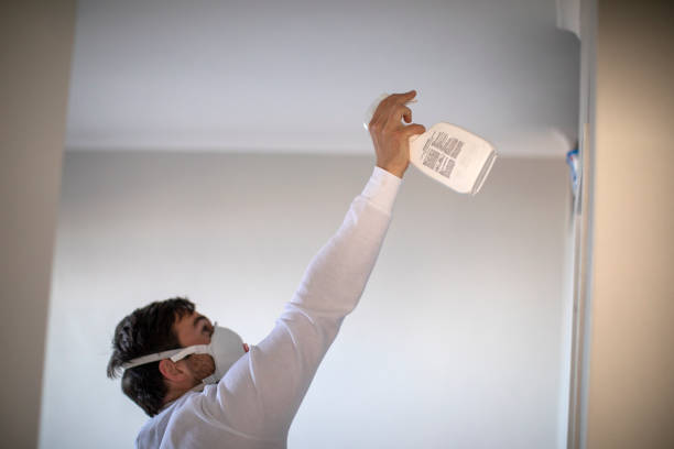Best Mold Removal Near Me  in Deltana, AK