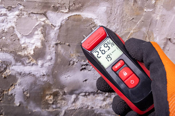 Best Best Mold Removal Companies  in Deltana, AK