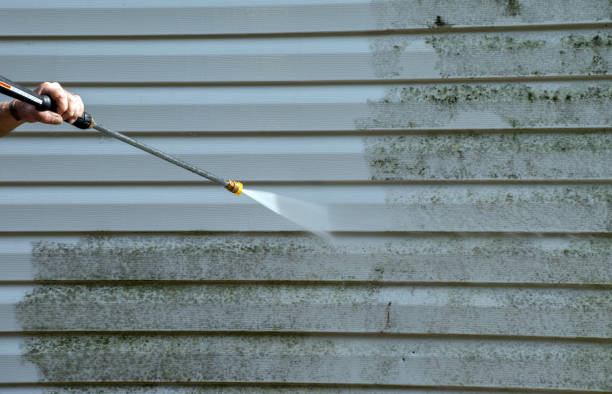 Best Black Mold Removal  in Deltana, AK