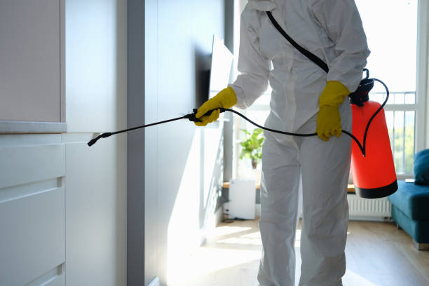 Best Office Mold Removal Services  in Deltana, AK
