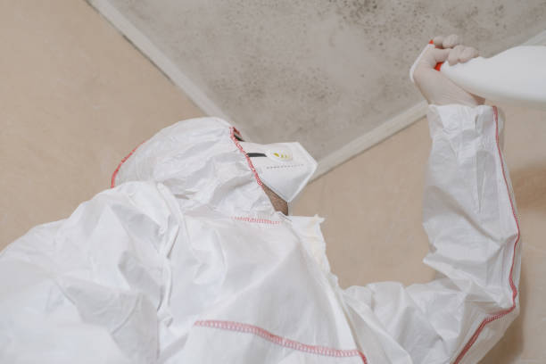 Crawl Space Mold Removal in Deltana, AK
