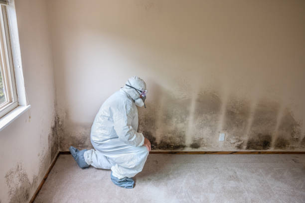 Best Mold Cleaning Services  in Deltana, AK