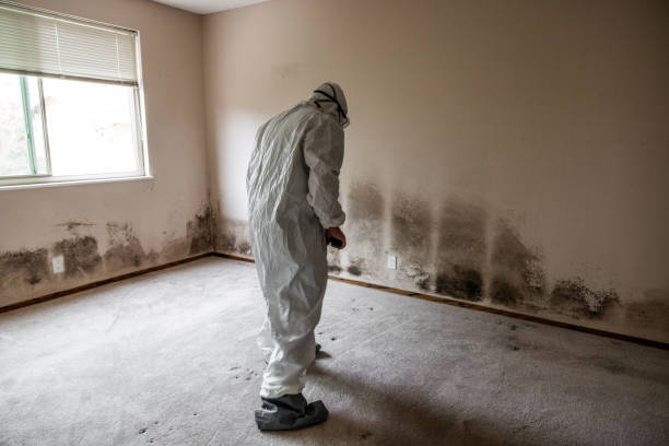 Best Residential Mold Removal  in Deltana, AK